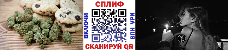 Cannafood конопля  где продают   Чадан 