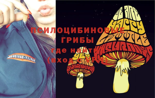 PSILOCYBIN Белокуриха