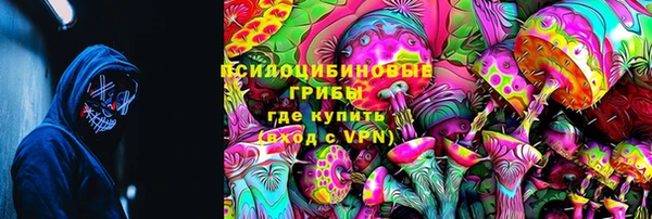 PSILOCYBIN Белокуриха