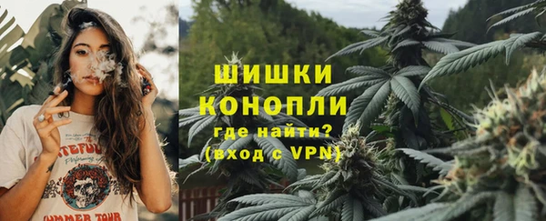 PSILOCYBIN Белокуриха
