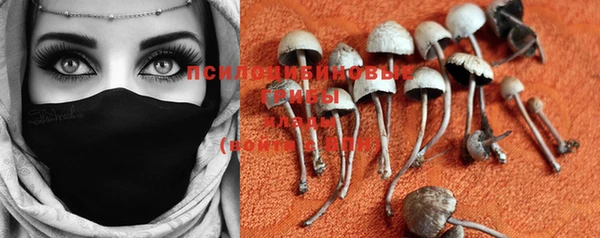 PSILOCYBIN Белокуриха