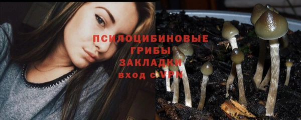 бошки Белоозёрский