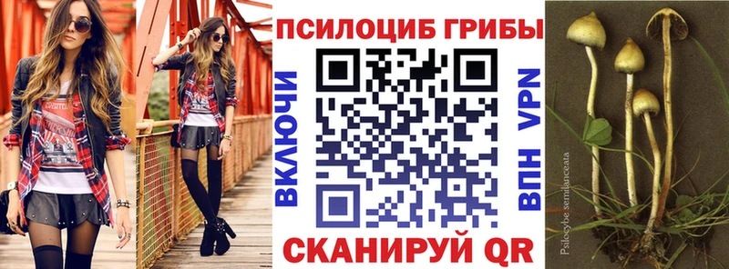 Галлюциногенные грибы мицелий  kraken зеркало  Чадан 